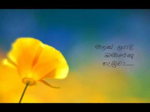 Bambareku Handuwa ~ Niranjala Sarojini (බඹරෙකු හැඬුවා...)