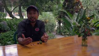 Historias que Inspiran - Projecto Valhalla Macadamia