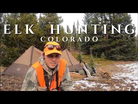 DIY Backcountry Elk Hunt in Colorado | 3rd Season Elk