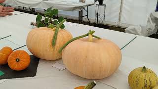 Worcester show 2026 #worcestershow #worcester #worcestershire 