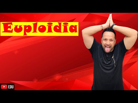 Euploidia - Mutação Cromossômica Numérica - Citologia