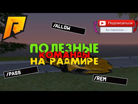 ПОЛЕЗНЫЕ КОМАНДЫ ДЛЯ РАДМИР РП!!! ГАЙД ДЛЯ НОВИЧКОВ! ВСЕ ЛЕГЧЕ ЧЕМ КАЖЕТСЯ?! Hassle online Radmir RP