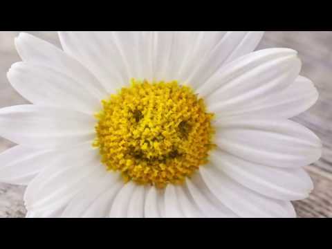 Podcast "Es darf leicht sein" Folge 005 Selbsterschaffenes Drama