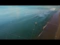 Beach Scenes With Peaceful Swimmer Sunlit Turquoise Sea With Swimmer On Tranquil Shoreline