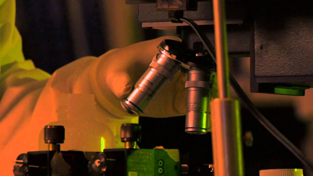 Known Universe: The Biggest and Smallest