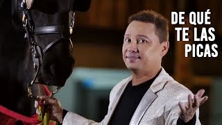 De Qué Te Las Picas Lyrics English Translation