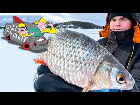 Mitä löytyy AMMATTIKALASTAJAN pyydyksistä? | Särkikalakuskit 1