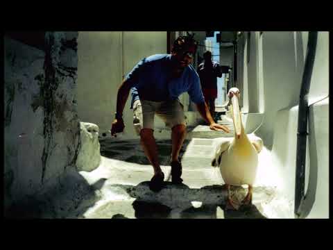 TROMBOCOMBO - The sign