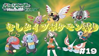 【ポケモン　エメラルド】　ポケモン最強の虫タイプで打倒ダイゴ！！　とらごろうの一人旅　part19