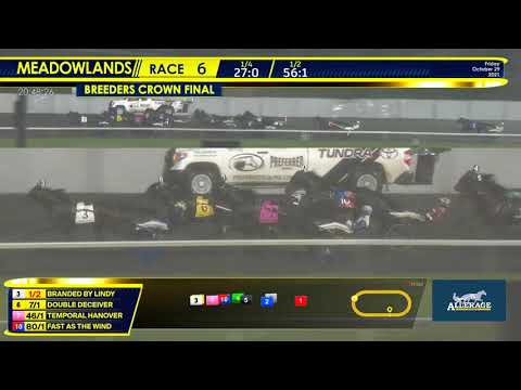 October 29, 2021 - Breeders Crown Final 2YO Colt Trot