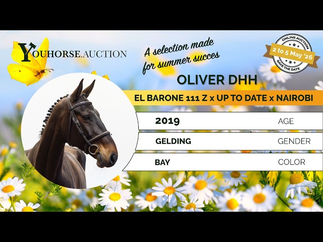 Oliver DHH showvideo
