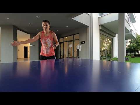 Настольный теннис во время локдауна. Игра против перовика.