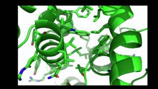 22. Causality, Natural Computing, and Engineering Genomes