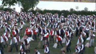 preview picture of video 'Vidzemes deju svētki, Aizkraukle (2011) - dažas dejas'
