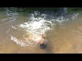 Berenang Cuma Pakai Celana Dalam Di Sungai Jernih