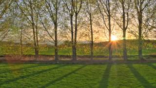 Methadone vs. Suboxone Treatment for Opioid Addiction Treatment | Denver, CO