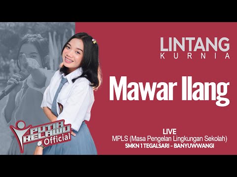 Lintang Kurnia - Mawar Ilang (Official Live Music)