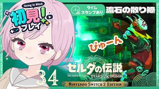 とことんコーガ様を追ってみる＆朽ちてない武器・希少素材ゲットでウキウキな九州の蛮族｜シリーズ完全初見【ゼルダの伝説 ティアーズ オブ ザ キングダム｜ティアキン｜TotK】#34