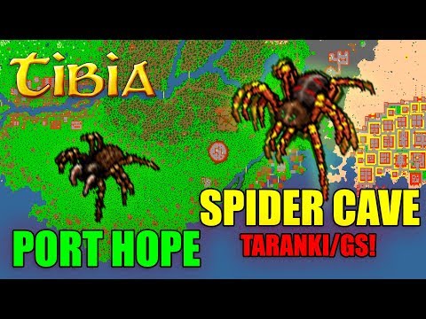 Tibia - GIANT SPIDER Port Hope MEGA RESPAWN & Tarantulas! - GUIDE