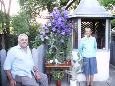 Mariana Cepraga - Jos de Valcea intr-un sat