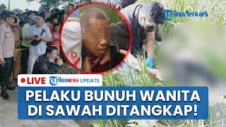 LIVE: Tersangka Pembunuhan atas Temuan Mayat di Persawahan Demak di Tangkap! Ternyata Bukan Kekasih