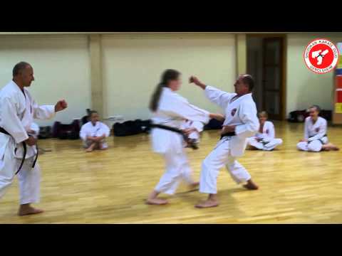 Shotokan Karate: Bunkai der Kata Jitte