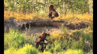 "Орел и решка 7 сезон": Камчатка