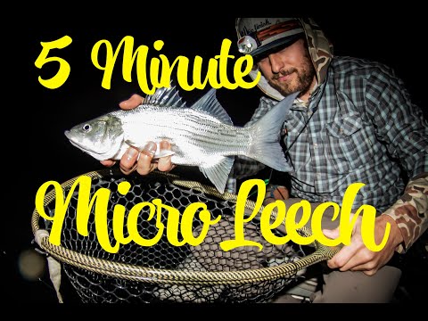 How to Tie: 5-Minute Marabou Leech (Brian Chan) - Stillwater for Trout, Bass, Walleye, Pike, Carp..
