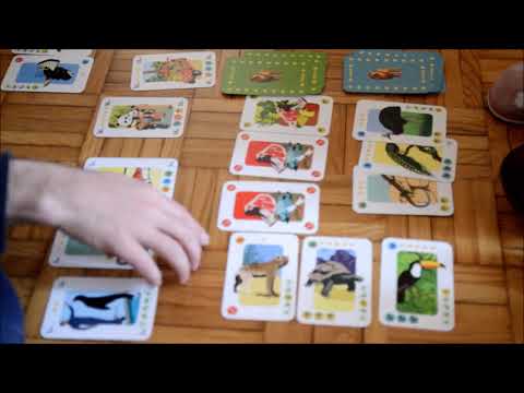 [Spiega] - 024 - Animazoo, regole e partita demo (tutorial) by Simarillon