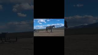 Video 1