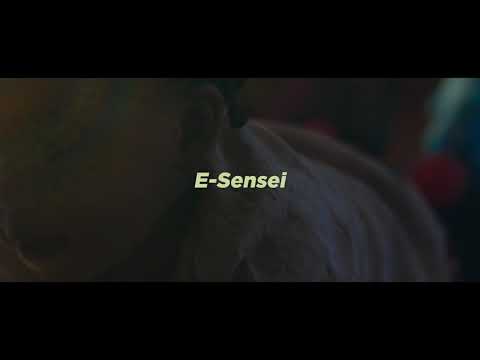 E-Sensei - Risk (visualizer)