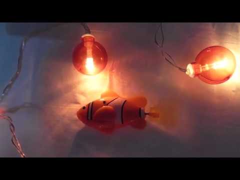 Мои покупки из Фикс Прайса+обзор на плавающую рыбку Play the Game