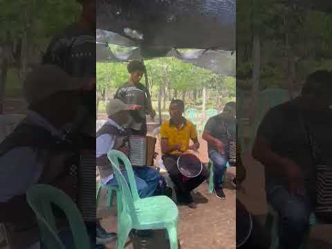 Vallenato ambiental