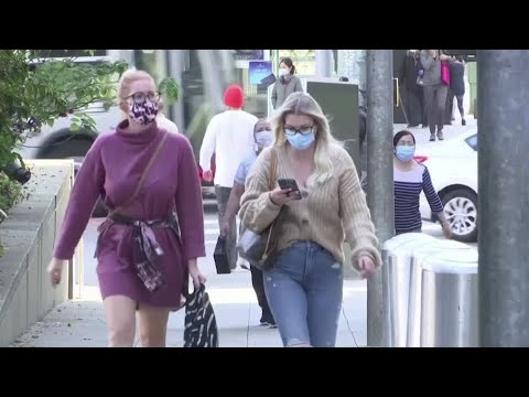 節日購物者紛紛進城，健康檢查清單：調查 (Holiday shoppers are coming to town with health checklist: survey)