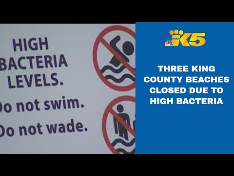 Three King County beaches closed due to high bacteria levels