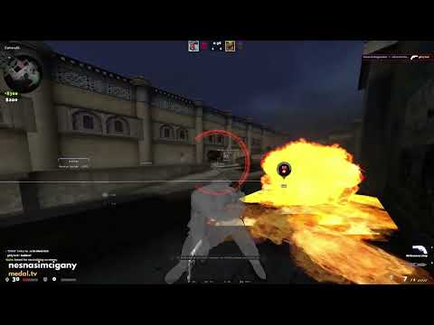 Vico (weako) vs Karel & Trix (kitten)