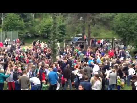 Midsommar 2014