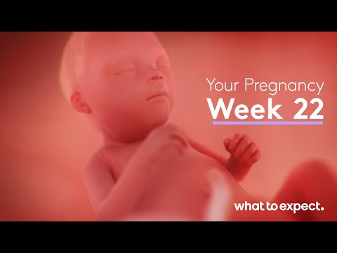 Mother-Baby developments this week (Week 22)