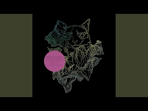 Video thumbnail for Doesn’t Matter (Trentemøller Remix)