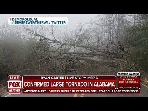 Large Tornado In Alabama Causes Extensive Damage