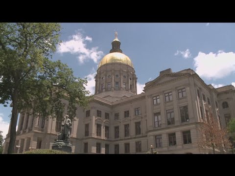 Georgia panel weighs income tax repeal