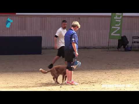 Qualification - Jana Krátká + Draco Esmee Wonderfull Dream/Border Collie - Czech Republic