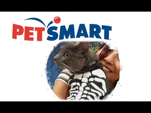 Taking my cat (Obi) to Petsmart for the first time!