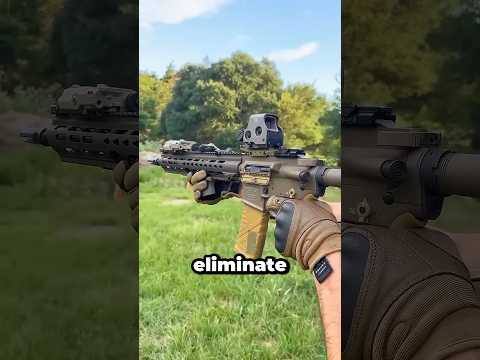 The BEST Assault Rifle in the World?