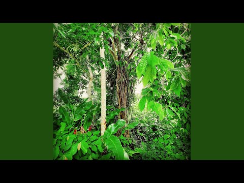 Realer (feat. Porchy)