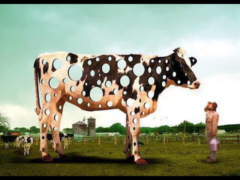 The Ultimate Beef Stew - Recipe