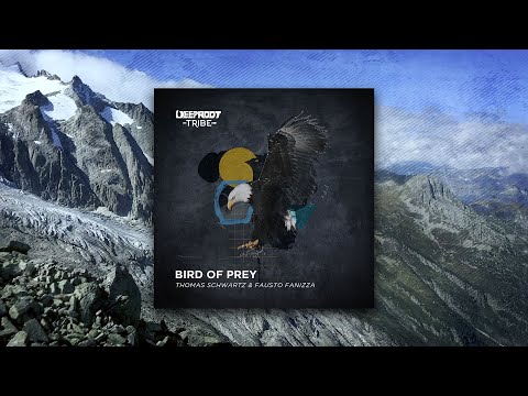 Thomas Schwartz, Fausto Fanizza - Bird Of Prey (Radio Mix)