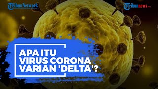 Apa Itu Virus Corona Varian 'Delta' yang Pertama Kali Ditemukan di India?