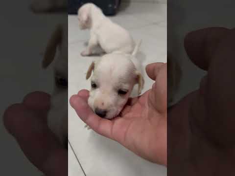 Vídeo de  Sem nomes ainda