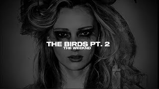 THE WEEKND – THE BIRDS PT. 2 | TRADUÇÃO.